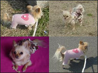 �x�������