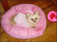 �x�������