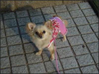 �x�������