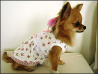 �`�F���[�����