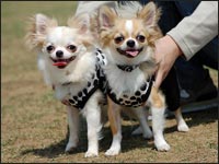 �΂����&������̂�������