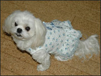 �t�@���[�������