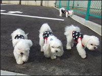 KAI����SORA����RIKU����