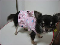 �R�G�_�����