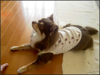 �����Y����