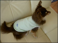 �����Y����