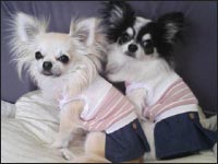 ���~����񁕏��������