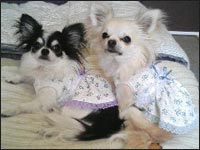 ���~����񁕏��������