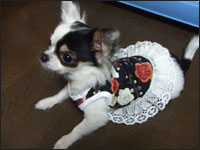 ���~�����