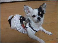 ���~�����