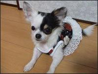 ���~�����