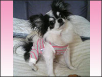 ���~�����