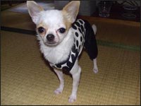 ���~�����