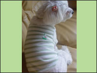 �}�R�����