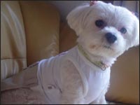 �}�R�����