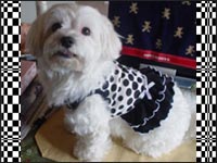 �}�R�����