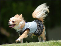 �}���A�������