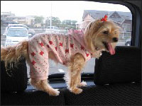 �~�b�L�[�����