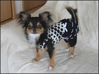 �~�j�[�����