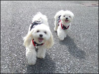 MOCA�����RIKU����