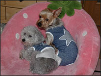 ��������񁕃O��������