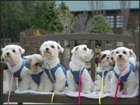 �䂫����񁕂��߂���񁕂��Ԃ��񁕂͂Ȃ���񁕃e�c���񁕂Ԃ肿���