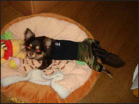 �j�������