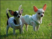 �����l����񁕗�����