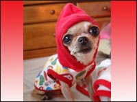 �������������