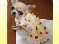 �������������