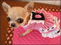 �������������