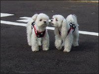 RIKU����SORA����