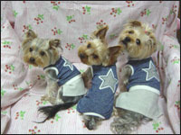 �܈��T����񁕗��������񁕊G�ڂ����