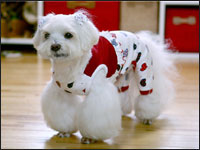 ���r�[����