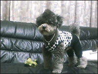 �T�N����