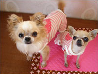 �~��(�E���I)���񁕗���(��������)�����