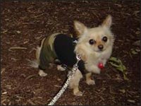 �x�������