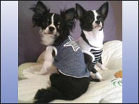 ��a���񁕙z�����