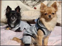 ��������񁕃A�C�����