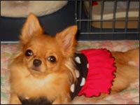 �A�C�����