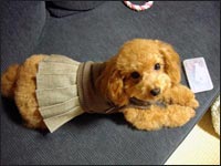 �A���n�����