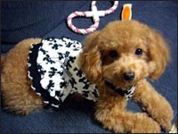 �A���n�����