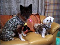 ���ьZ����