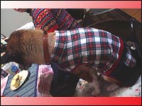 ���ьZ����