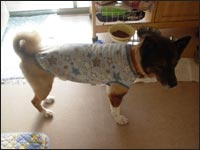 ���ьZ����