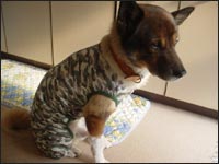 ���ьZ����