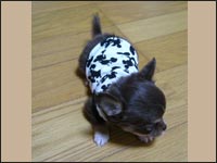 ���S����