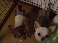 ���~����񁕂�����������