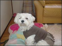 �}�R�����