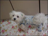 �}�R�����